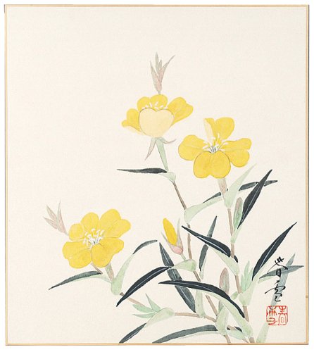 Hayashi Shunyuki Evening Primrose 6-356