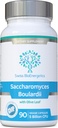 Saccharomyces Boulardii 5ビリオンCFU 90カプセル - 冷凍は必要ありません - 合成オリーブリーフ、ビオチン、ビタミンD3と高強度ノンコロニゼーション酵母