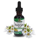 Nature's Answer Eyebright Herb | ヘルシーアイズ&ビジョンをサポート | ノンGMO | アルコールフリー, グルテンフリー, コーシャ認定, 完全菜食主義者&無防腐剤 1oz