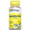 SOLARAY Dandelion Root | ヘルシーな肝臓、腎臓、消化と水バランスサポート | 非GMO、ビーガン、100 ベジキャップ、50 サーブ