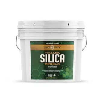揮発性シリカ鉱物 Micronized- 10ポンド