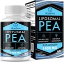 Liposomal Palmitoylethanolamide 1300 MG のプラスの Luteolin 100 MG、優秀な吸収、不快な管理のための Micronized Pea の補足、60 の Softgels