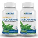 Palmaraの健康の優れた Andrographis Paniculata のエキス 2 パック - 1,200mg (100mg Andrographolides) サービング、非GMO、ビーガン、グルテンフリー
