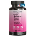 VINATURA Lactobacillus Rhamnosus、Reuteri、Gaseri、Plantarum、Crispatus、Acdophilus Probiotics - 女性のためのプロバイオティクス *米国製&テスト済み*女性腟の健康、腸および消化器の健康 - 30カプセル