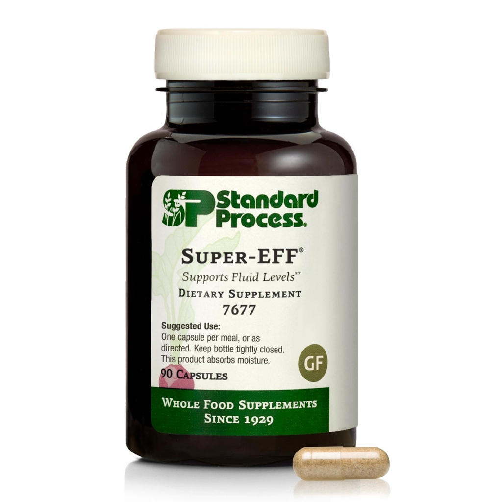 スタンダードプロセス株式会社 スーパーEFF - 亜麻仁油とスペイン苔の食品エネルギー - 90カプセル