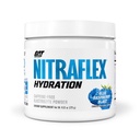 GAT SPORT Nitraflex ハイドレーションパウダー、性能電解液、45サービング(45サービング、ブルーラズベリー)