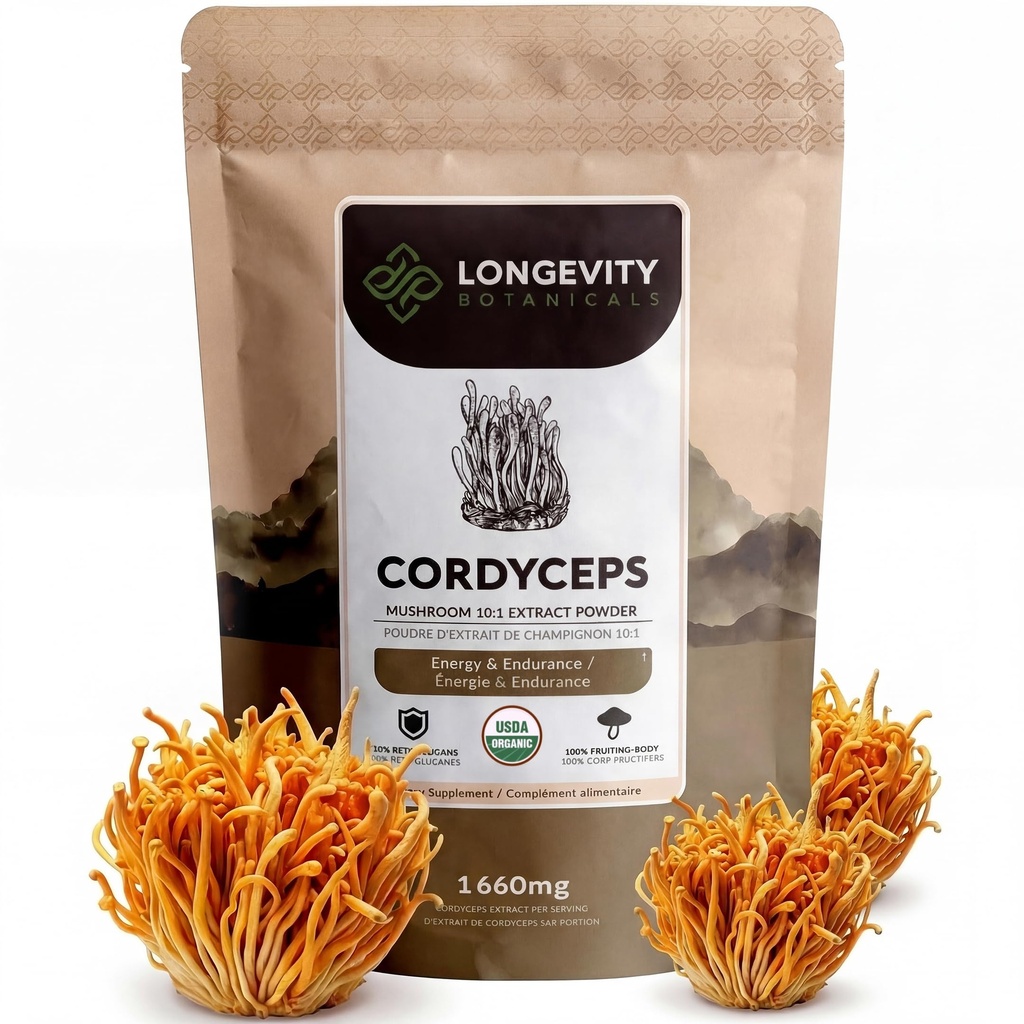 長寿植物性植物性有機コルディプス茸エキスパウダー100g | 集中10:1の比率 | 100%の果肉 | コルディプス・ミリタリース エネルギー、スタミナ&呼吸器用天然サプリメント