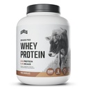 Levels Grass Fed Whey Protein Powder, No Artificials, 24G of Protein, Pure Chocolate, 5LB