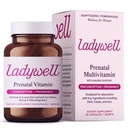 Ladywell Prenatal Multivitamin | コンセプト・妊娠・出産 | DHA・葉樹・鉄などの主要成分 | 専門・処方・試験 | 吐き気対応・吸着60Ct