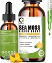Sea Moss Drops 2000mg, Irish Sea Moss Supplement Supports Immunity, with Black Elderberry, Burdock Root, Bromelain, Vitamin C & Zinc, 2 Fl.Oz, Pineapple Flavor