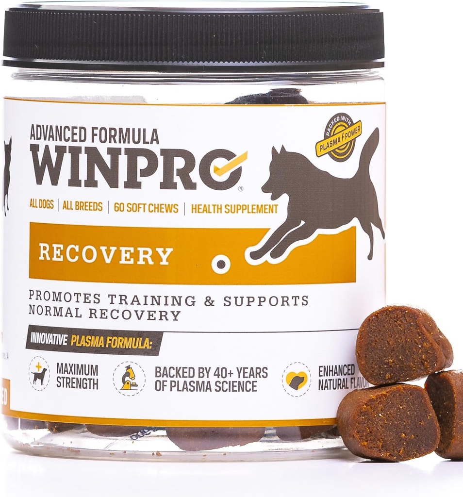犬のためのWINPRO回復咀嚼, アクティブ犬のためにパワードプラズマ, 免疫システムサポート, 競争とスポーツ筋肉の回復と敏捷のための犬のトレーニングサポート, 60 カウント, 米国製