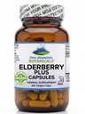 純粋な山の植物のElderberryの補足-750mgの有機性Elderberryおよび200mgのElderflowerのビーガンKosherのカプセル