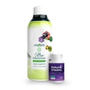 Univera Revitalize & Rest Combo Pack for Enhanced Wellness, Natural Energy for Day, 深夜Xtra Concentrate & Natural Dreamsで深夜眠