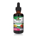 Nature's Answer Organic Hawthorn Extract 2 Oz - 低アルコール、グルテンフリー、コシャ - ハートサポート - Hawthornベリーティーに最適