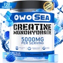男性のためのクレアチンの Monohydrate のガミー及び女性 5000mg のクレアチン 筋肉サポートのためのサービングごとの Monohydrate 120 の計算のChewable 5g のクレアチンの補足の砂糖の自由なビーガン (1 のパック、青いラズベリー)