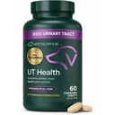 VetriScience クイック アクション UT Health Chewable タブレット, UT 強度 STAT サプリメント for Dogs, Cranberry, Uva Ursi, そして Chanca Piedra へ Soothe 尿道 不快感, 煙, 90 カウント