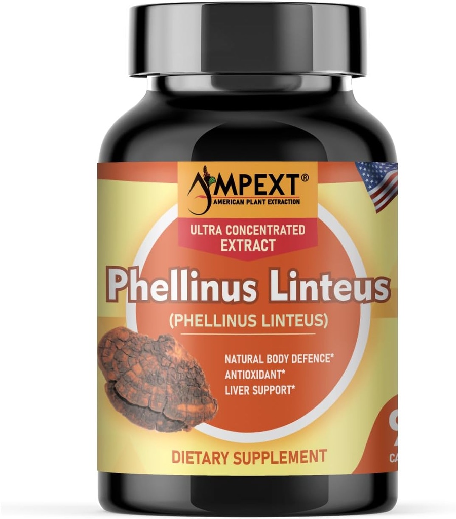 Phellinusのlinteusのきのこのエキス-優れた質、唯一のフルーツのボディ、酸化防止剤、免除ブースター、レバー サポート、90のベジの帽子。