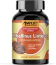 Phellinusのlinteusのきのこのエキス-優れた質、唯一のフルーツのボディ、酸化防止剤、免除ブースター、レバー サポート、90のベジの帽子。