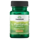 Swanson L. Plantarum - 消化器のサプリメントは、消化管のバランスと腸の規則性を促進します - ブロッキングを減らすのに役立つ天然式 - (30 Veggieカプセル)
