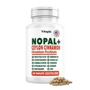 抗酸化剤、皮膚、代謝、ウェルネス、心臓の健康サポートのためのVitapia Nopal Cactusエキス - 60マルチカプセル - 非GMO、グルテンフリーサプリメント