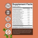 高度なキノココンプレックスカプセル - 10Xライオンズマネサプリメントは、霊芝、チャガ、舞茸&シイタケと脳の健康メモリサポート&フォーカス - メンタルクラリティのための向知性 - 30キャップ