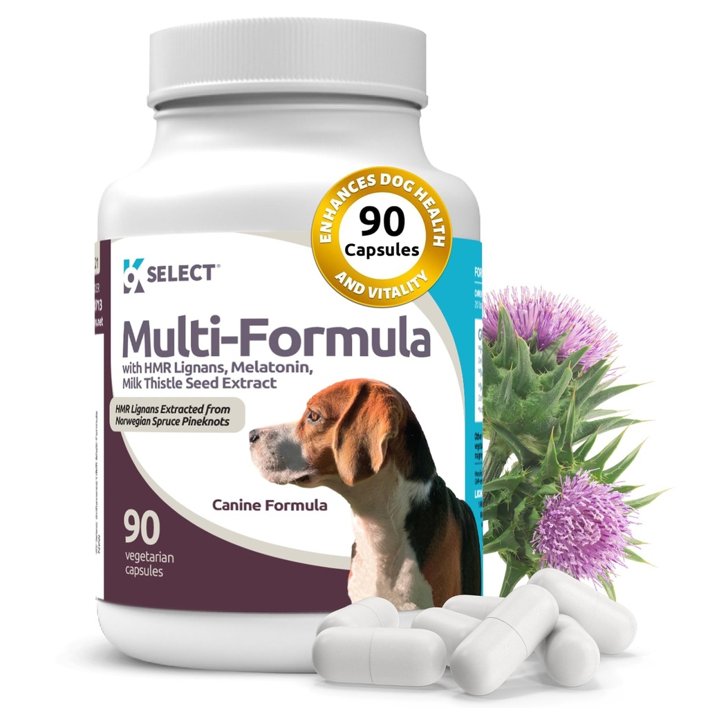 K9は中型の犬のためのマルチフォーミュラ犬のビタミン - 20mg HMR Lignans、2mg Melatonin、40mgミルクのアザミ - 心臓、肝臓、消化及びコートの健康、犬のマルチビタミン、90カプセルの助けます
