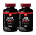 muira puama 植物 - MUIRA PUAMA エキストラクト - エナジーブースター - muira puama catuaba、男性のためのmuira puama、適応性物質のサプリメント、気分のサポートサプリメント、スーパー抗酸化物質のサプリメント、2 ボット 120 キャップ