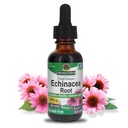Nature's Answer Echinacea アルコールフリーエキス 1 液量オンス | 全体的なウェルネスを促進します | 自然な免疫ブースター | 炎症抑制剤