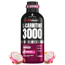 ProSupps L-Carnitine Liquid 3000、男性と女性のための興奮剤フリー液体ショット - エネルギー、パフォーマンス、筋肉の回復のためのクリーンなワークアウトドリンク - 砂糖なし、炭水化物なし - 31 サービング、ドラゴンフルーツ
