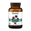 Himalaya Guggul - 肝臓デトックス、コレステロール、HDL&Lサポートのためのハーブ肝臓サポート - ビーガン、非GMO、グルテンフリー、720 mg、60カプセル