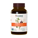 Himalaya StressCare の草の補足、サポート圧力救助、エネルギー サポート、弛緩、時事な眠り、Ashwagandha、聖バジル/トルシ、Gotu Kola、非GMO、ベジタリアン、240カプセル
