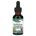 Nature's Answer Enchinacea & Goldenseal | 健康な免疫システムをサポート | 極度の集中された純粋なエキス | アルコールフリー, グルテンフリー, ビーガン&コーシャ認定 1oz