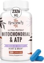 2326 MG MitochondrialはATP、ビタミン、CoQ10及びPQQのより有効な、クレアチンHMB及び硝子酸化物、エネルギー、持久力、回復及び筋肉、有機性、120のカプセルと補います