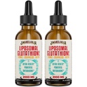 Liposomalのグルタチオンの液体2000MG – 女性のための酸化防止デトックスの補足 & 男性, 老化の防衛, 肝臓機能 & エネルギー, ヒアルロン酸酸 + アロエベラ + ビタミンCと, ナチュラル&ビーガン, 4 FL.OZ