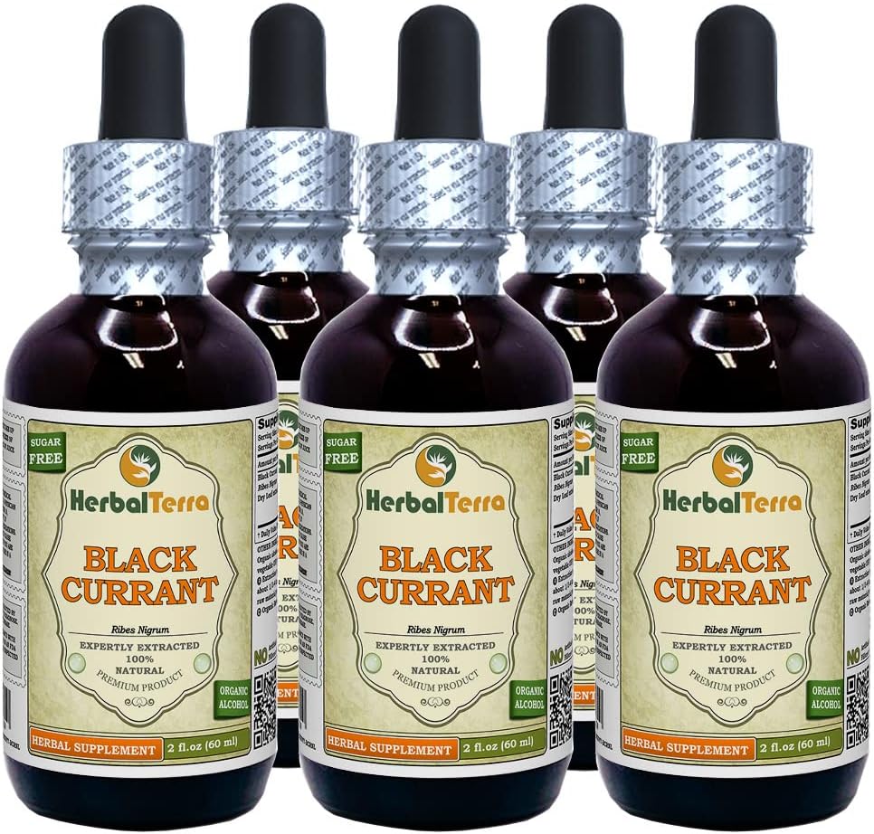ブラックカラント(Ribes nigrum)チンキ、乾燥葉液抽出物(ブランド名:HerbalTerra、米国製)5x2 fl.oz (5x60 ml)