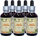 ブラックカラント(Ribes nigrum)チンキ、乾燥葉液抽出物(ブランド名:HerbalTerra、米国製)5x2 fl.oz (5x60 ml)