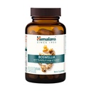 ヒマラヤボスウェリア、モビリティと柔軟性のための共同サポート、ティッシュ保存、250 mg、60カプセルを促進