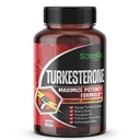 ウルトラトルケステロンAjugaターケスタニカ標準化20%ターケステロン高効力とマカルートTribulus Terrestris - 筋肉成長エネルギーメモリサポート