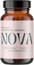 Nova Ultimate Cell Renewal/Spermidine Supplements、High Spermidine、亜鉛および最適Autophagy、60のカプセルのためのThiamineの有機性小麦Germの反老化の補足(パッケージ1)