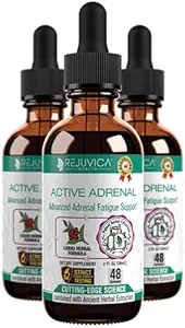 活動的な副腎-高度のAdrenalサポート チンキ-よりよい吸収のための液体配達-Ashwagandha、B-Vitamins、マグネシウムおよび多く