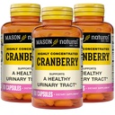 MASON NATURAL Cranberry 高濃度900mg、3ヶ月の供給、抗酸化剤&免疫健康、健康的な尿路をサポート、3パック