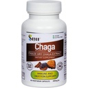 Sayan Siberian Chaga キノコ エキス – 90 カプセル/420 mg ea – 自然 & ワイルド ハーヴェスト 抗酸化サプリメント – 免疫 システム サポート & 規制 ボディ 機能 – ビーガン, 非 GMO, フィラーや添加剤なし