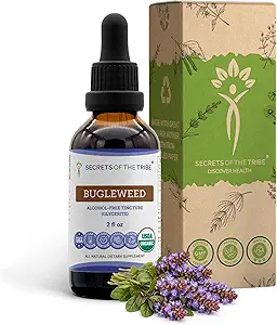 Bugleweed USDA Organic | アルコールフリーエキス、高確率ハーブドロップ、呼吸器系 | 100%認定オーガニックバクレイード(Ze Lan、Lycopus Virginicus) 乾燥ハーブ2オンス