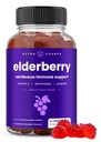 NutraChamps Elderberry Gummies with Vitamin C、プロポリス、Echinacea - Immune System Support Gummy Vitamin for Adult & Kids - 最大強度200mgサムブカス抗酸化剤