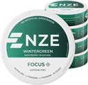 NZEカフェインフリーの向知性ポーチ(Wintergreen) - アルファGPC、L-チロシン&L-テアニンと向知性ポーチ - 砂糖や人工甘味料なし - 缶15個 - 5パック