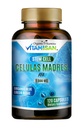 CelulasのMadres AFAの茎の自然な細胞120のカプセル1000のmgの青緑色の藻類非GMO Glutenの自由なAphanizomenonのFlos-aquaeのcelula マドレの補足