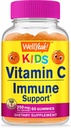 WellYeah Kids Vitamin C Gummies (250mg) - 60 Gummies