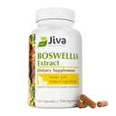 Jiva Botanicals Boswellia Extractは、給餌ごとに700mgをカプセル化 - Boswellia Serrata Extractサプリメント&ブラックペッパー - 正常な関節の健康のための共同サポートサプリメント - 120カプセル(パッケージ1)