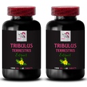 Natural Power Formula - TRIBULUS TERRESTRIS EXTRACTS - Physical Support, Active Strength Boost, Dynamic Energy Source, Strength, Body Power Surge, Pure Muscle Boost, Daily Energy 2 Bottles 120 Tabs