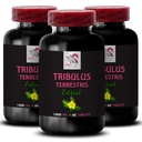 Pure Energy Surge - TRIBULUS TERRESTRIS EXTRACTS - Active Strength, Dynamic Power, Daily Muscle Recovery, Plant-Based Formula, Physical Boost, Natural Strength, Body Power, Strength 3 Bottles 180 Tabs